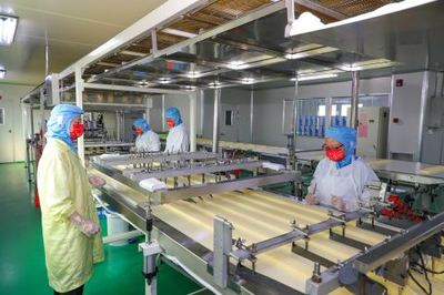 鉚足干勁忙生產，產業發展勢頭足——透視現代食品生產的蓬勃氣象