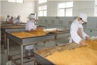 精選肉松批發(fā) 黃金松、原味、辣味、雞肉松一站式供應(yīng)，量大優(yōu)惠包郵